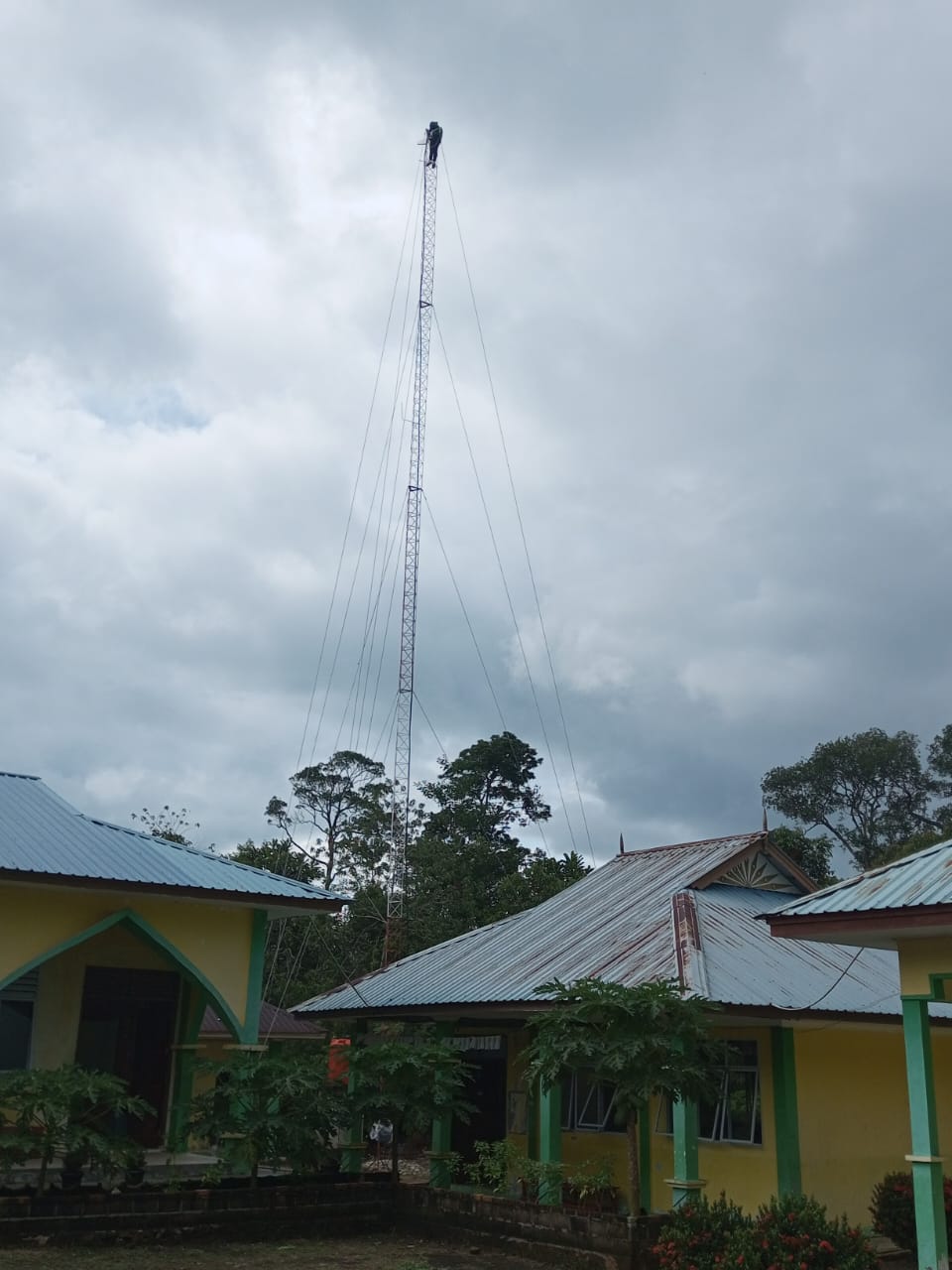 IMG-20250116-WA0011