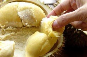 Manfaat Makan Durian untuk Kesehatan yang Perlu Kamu Ketahui