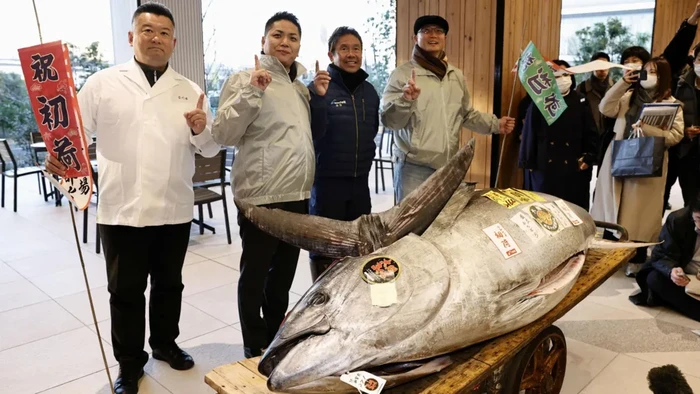 onodera-group-memenangkan-lelang-ikan-dengan-harga-rp-205-miliar