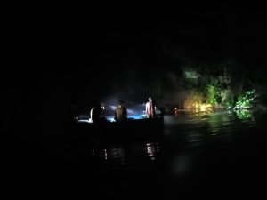 IMG-20250204-WA0042