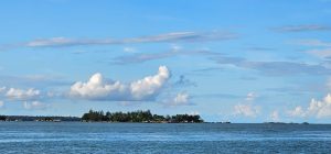 IMG-20250413-WA0021