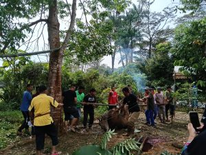 IMG-20250608-WA0013
