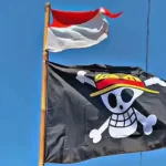 Seruan Mengibarkan Bendera One Piece: Simbol Kritik Sosial dan Teguran untuk Pemerintah
