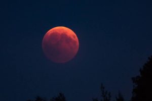 IMG_7540