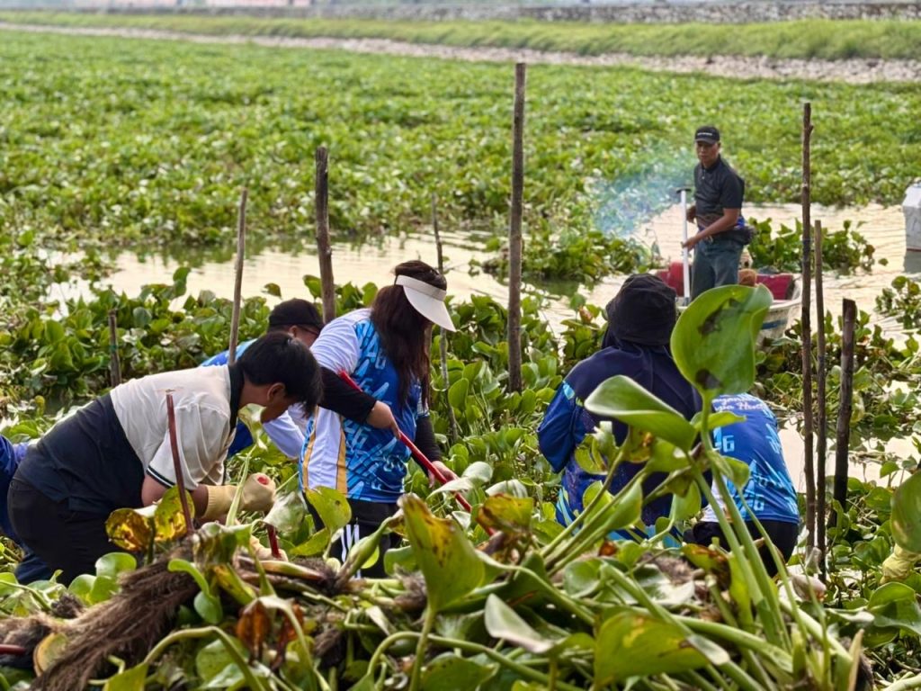 7f6490db-c749-42f7-9b35-18894fe64b2a