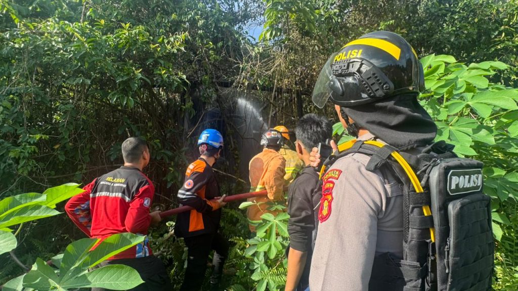 cff06e7d-bb79-45a1-8fe3-f4e4d8ea6db3