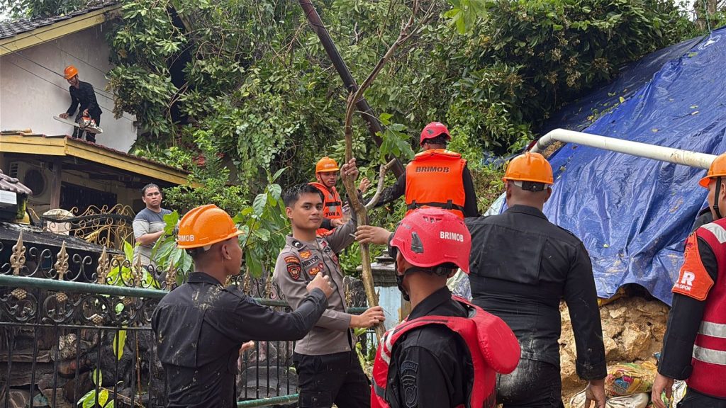 e82d3368-7aff-4b42-b660-6596cb502067