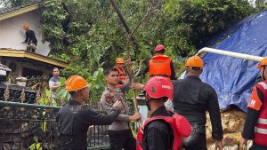 e82d3368-7aff-4b42-b660-6596cb502067