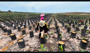 Screenshot_2025-12-08-14-16-44-217_com.google.android.apps.docs-edit