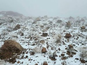 salju-turun-di-tabuk-1766120886910