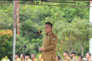 Screenshot_2026-01-05-11-36-21-639_com.miui.gallery-edit