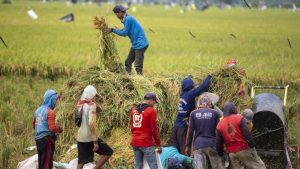 ded9e7b366815cc026101e1fa5cf0fe3