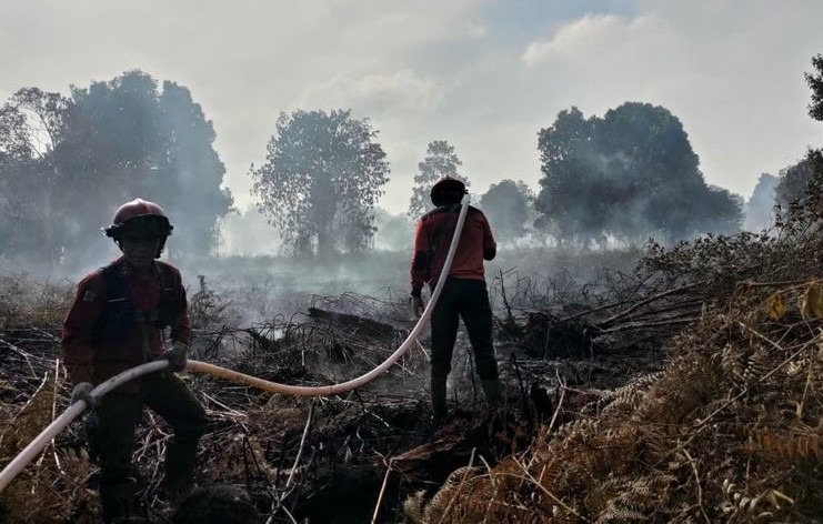Personel Manggala Agni melakukan pemadaman kebakaran hutan dan lahan di Riau