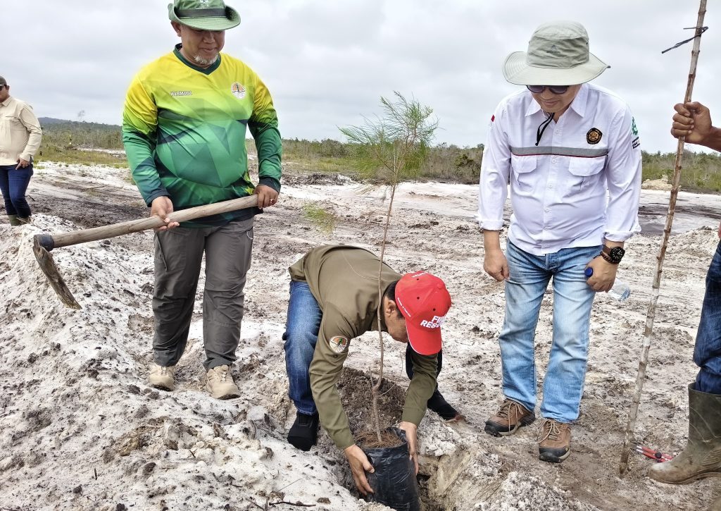 Pemantauan penghijauan lahan tambang IKJ Teluk Buton Natuna