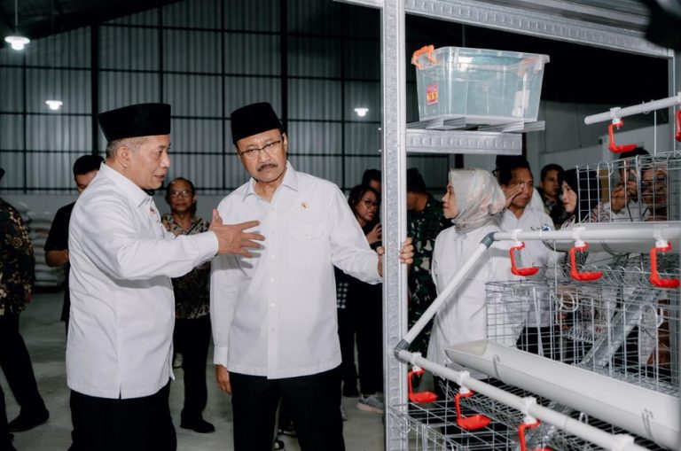 Penyerahan bantuan ayam petelur Kemensos di Purworejo