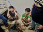 Dua terduga pelaku pencurian kabel diamankan Polsek Nongsa.
