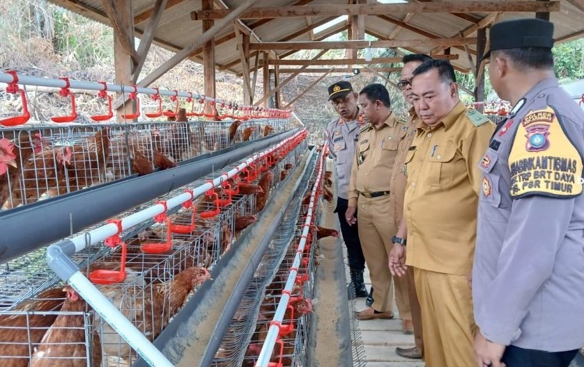 Peternakan ayam petelur BUMDes Desa Pesisir Timur Anambas