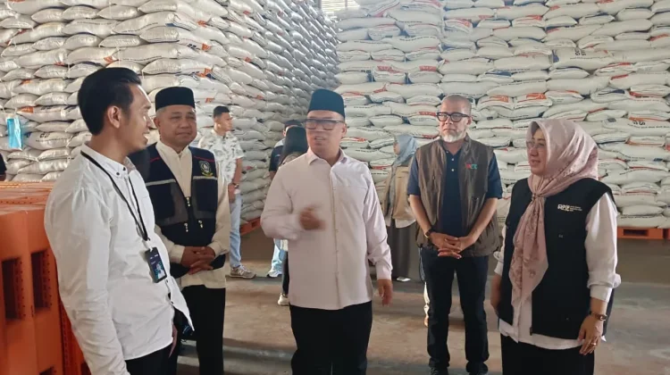 Pemprov Kepri pastikan stok pangan mencukupi sebelum dan pasca lebaran