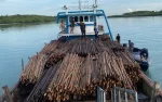 Ditpolairud Polda Kepri gagalkan penyelundupan kayu bakau ilegal ke Singapura