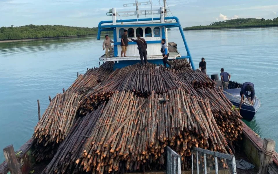 Ditpolairud Polda Kepri gagalkan penyelundupan kayu bakau ilegal ke Singapura