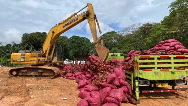Ditpolairud Polda Kepri musnahkan 27 ton bawang merah ilegal di Batam