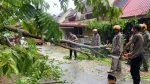 Tim SAR Brimob Polda Kepri evakuasi pohon tumbang di Sagulung Batam