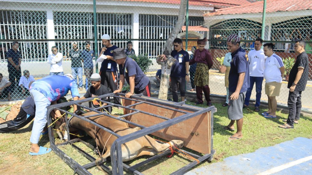 suasana penyembelihan penyembelihan-sapi-lapas-batam-idul-adha-1447h-01.jpg