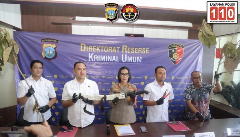 Pelaku perusakan pohon jati emas di Jalan Sudirman Batam ditangkap Polda Kepri