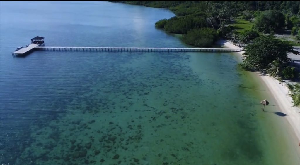 Pulau Katang Lingga yang viral dijual Rp65 miliar di media sosial