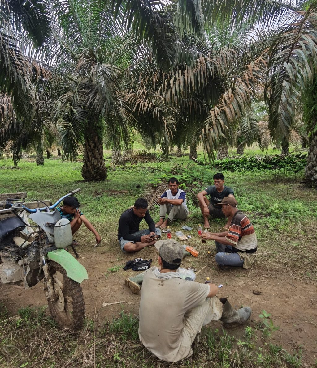 Harga CPO Melemah di Pasar Global