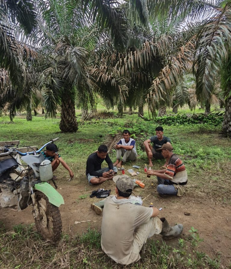 Harga CPO Melemah di Pasar Global