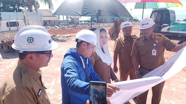 Bupati Natuna Cen Sui Lan tinjau pembangunan Pasar Ikan Ranai