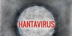 Dirjen P2P Kemenkes Andi Saguni konferensi pers antisipasi wabah hantavirus