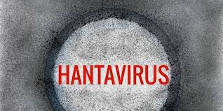 Dirjen P2P Kemenkes Andi Saguni konferensi pers antisipasi wabah hantavirus