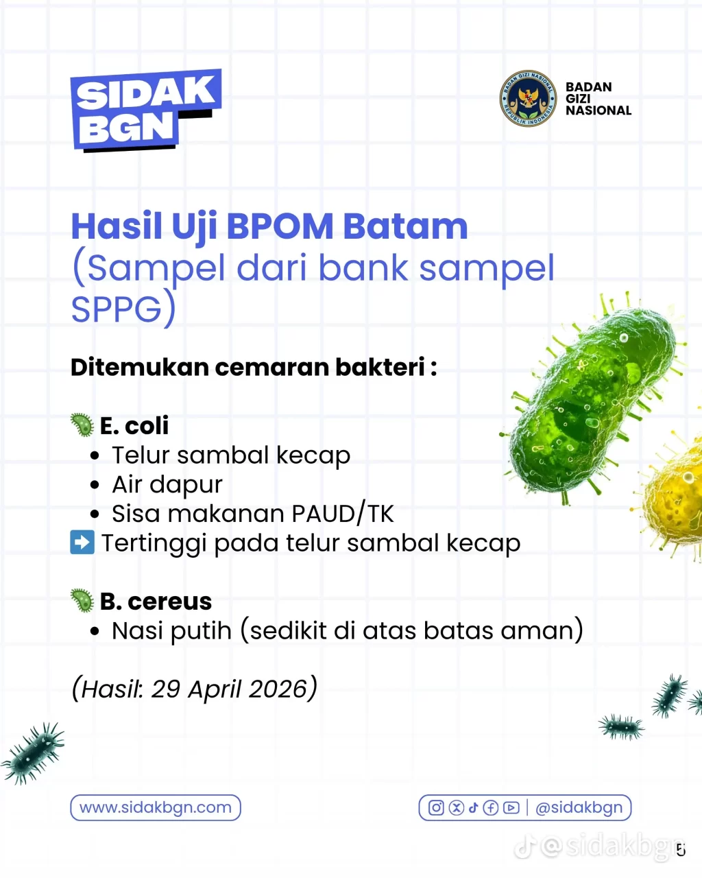 Hasil investigasi BGN keracunan MBG Anambas mengandung boraks dan bakteri