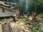 Pohon tumbang timpa rumah warga di Desa Pantai Harapan Selayar Lingga