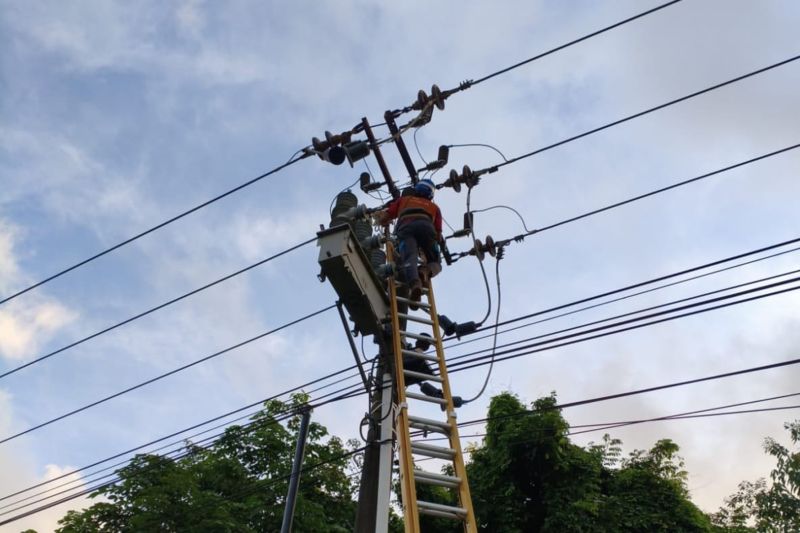 pln-batam-perkuat-pemeliharaan-preventif-jaringan-listrik