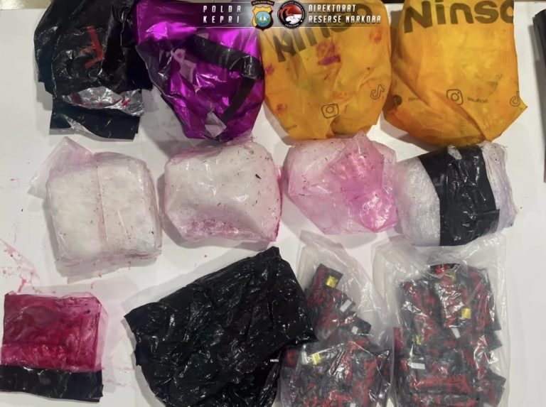 Barang bukti sabu dan ekstasi hasil pengungkapan Ditresnarkoba Polda Kepri di Pulau Durai.