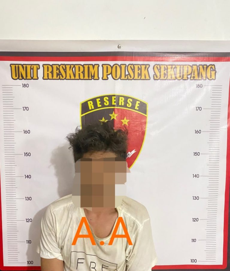 Dua pelaku pencurian di kawasan PT Logam Mulia Batam diamankan Polsek Sekupang.