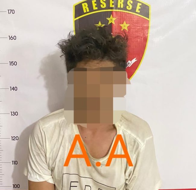Dua pelaku pencurian di kawasan PT Logam Mulia Batam diamankan Polsek Sekupang.