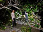 Evakuasi pohon tumbang di Jalan Raya Lanjut Kabupaten Lingga oleh Polsek Dabo Singkep.