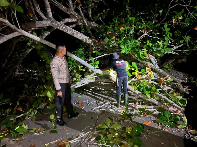 Evakuasi pohon tumbang di Jalan Raya Lanjut Kabupaten Lingga oleh Polsek Dabo Singkep.