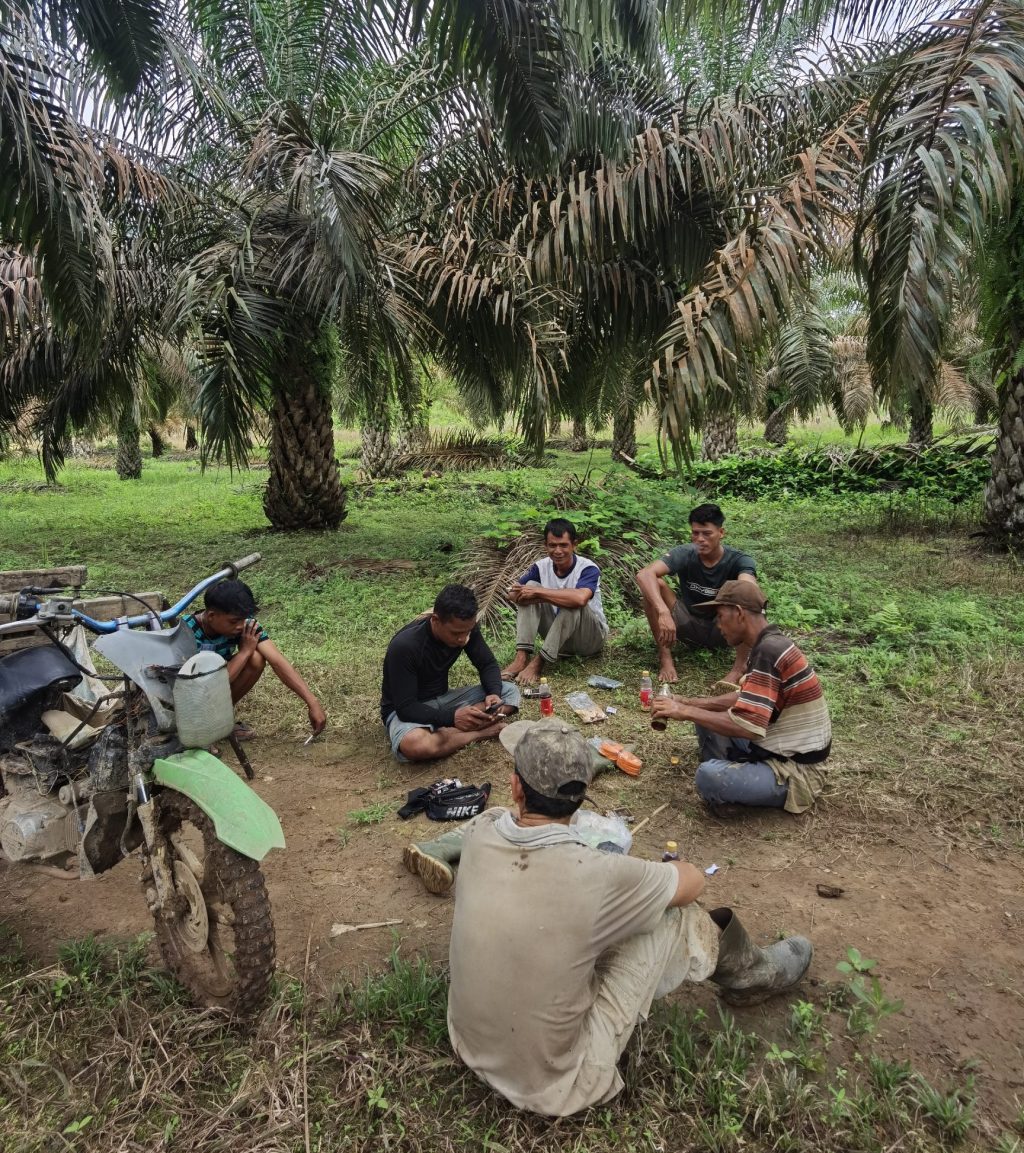 Panen sawit terganggu
