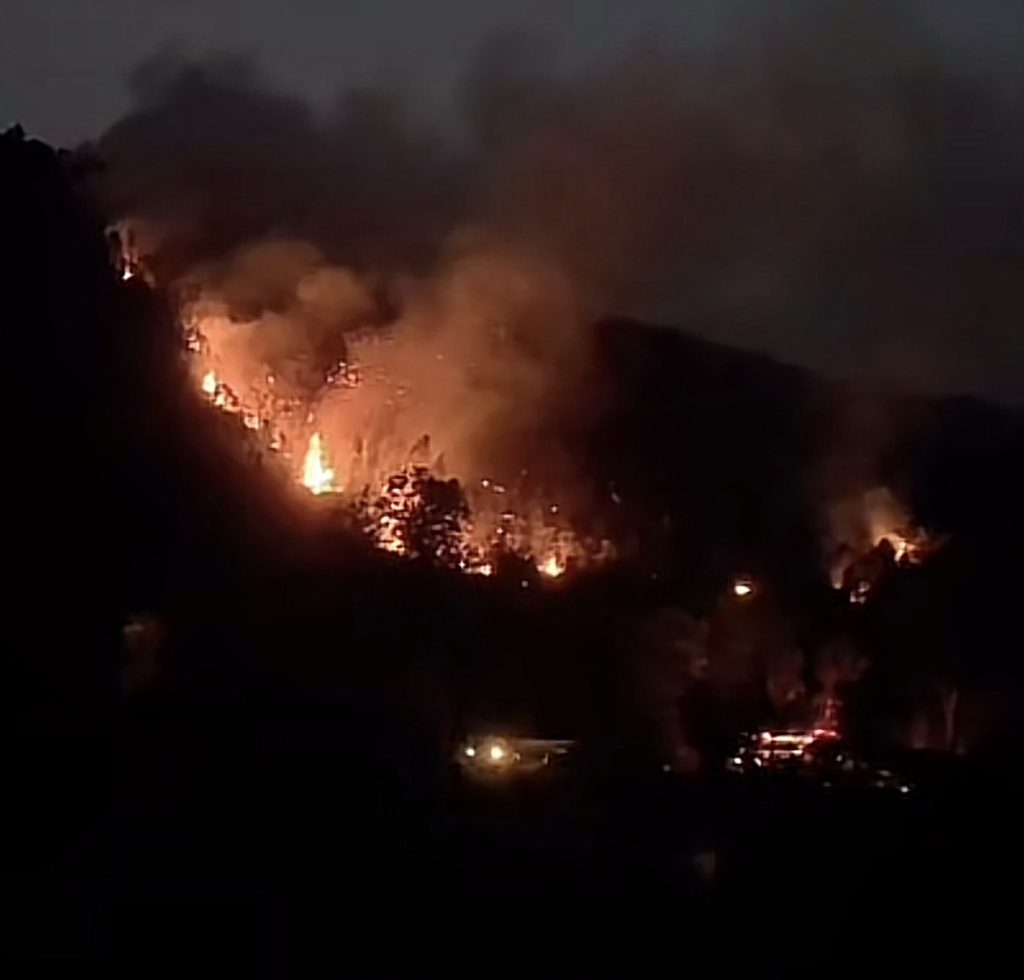 Tim gabungan memadamkan kebakaran lahan di Sagulung Batam