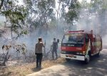 Kebakaran lahan kosong di Kampung Bugis Tanjungpinang