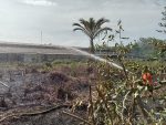 BMKG Hang Nadim Batam ingatkan potensi karhutla di Kepri