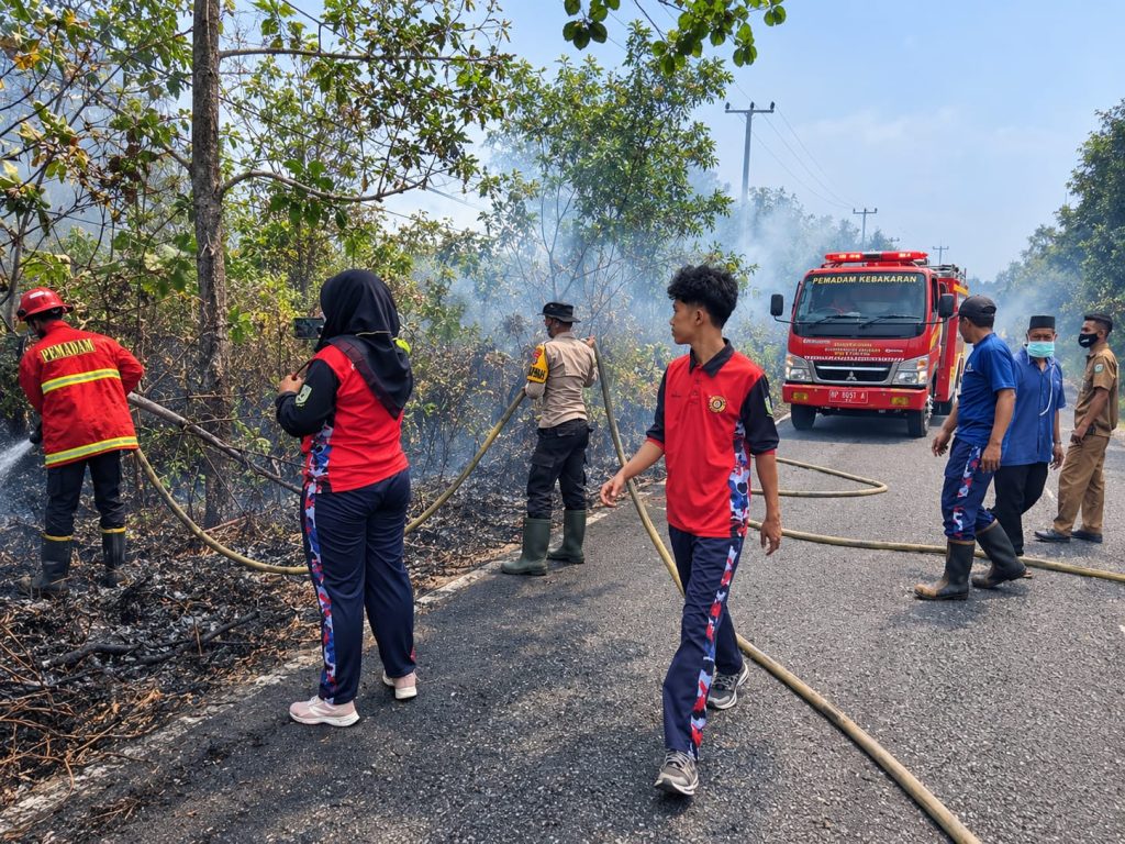 kebakaran-4-hektare-lahan-kosong-natuna-api-padam-5-jam