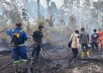 Tim gabungan padamkan Karhutla di Sungai Besar Lingga