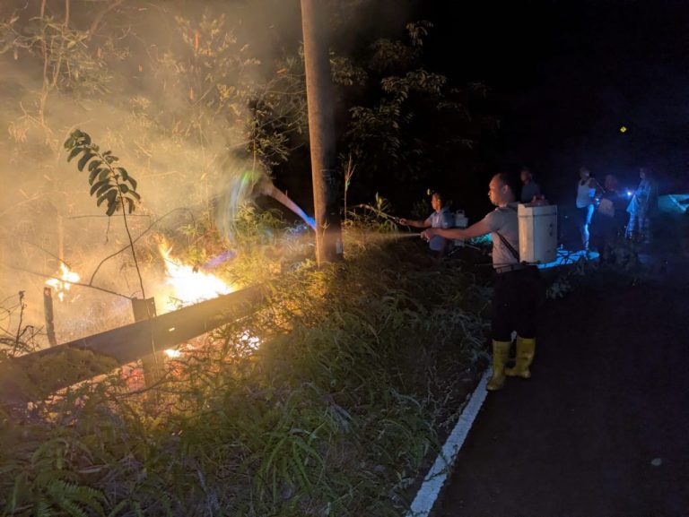 Pemadaman Karhutla di Sembulang dan Tembesi Batam