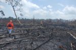 Kebakaran lahan 30 hektare di Desa Kudung Lingga